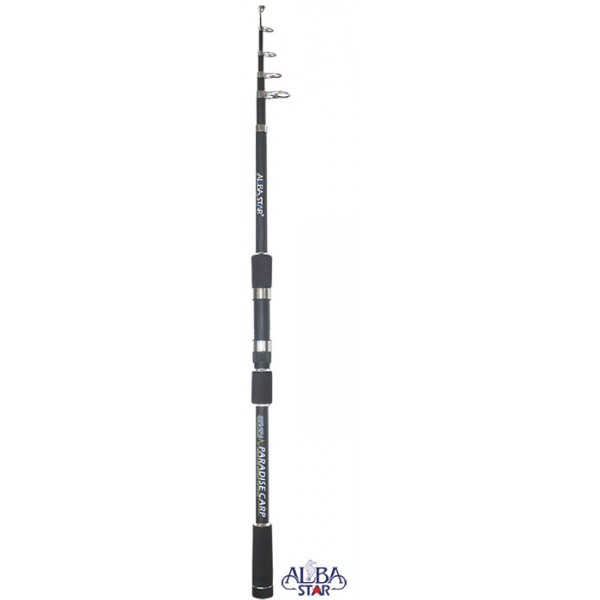 ALBA 2231 300 cm-40-80 atar PARADİSE CARP